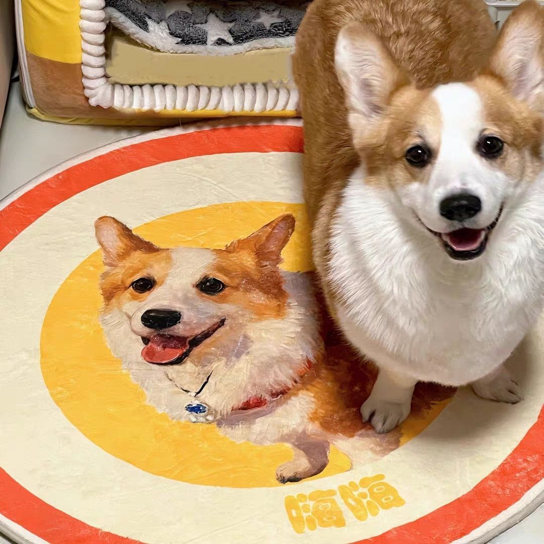 Custom Pet Photo Rug - Personalized Pet Portrait Mat