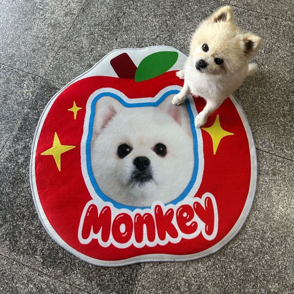 Custom Pet Photo Rug - Personalized Pet Portrait Mat