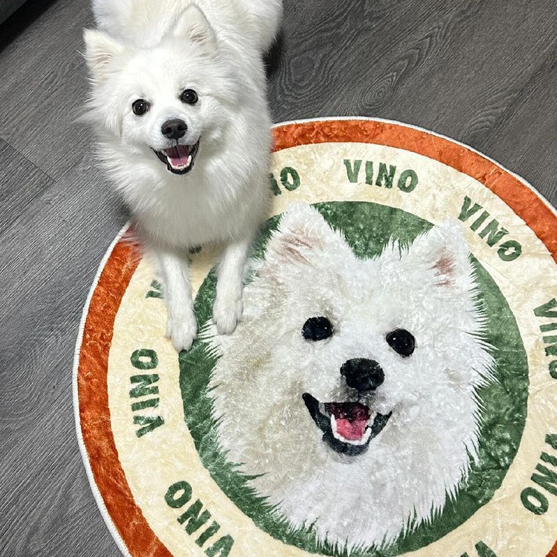 Custom Pet Photo Rug - Personalized Pet Portrait Mat