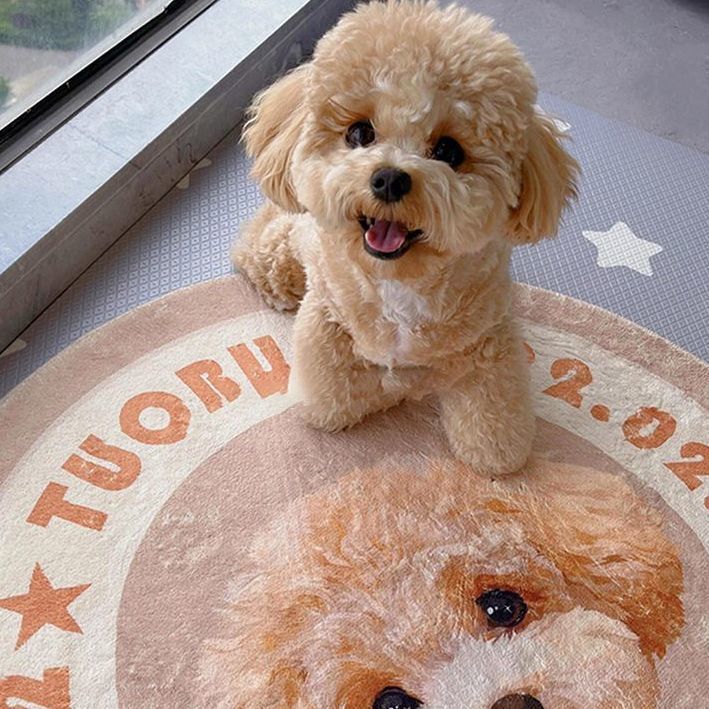 Custom Pet Photo Rug - Personalized Pet Portrait Mat